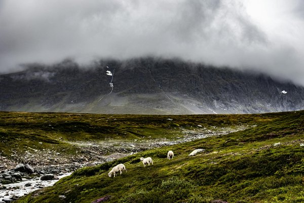 Comment organiser une visite des temples de Bagan, Birmanie?