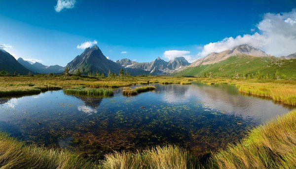 Comment choisir une croisière pour explorer les fjords norvégiens avec des guides naturalistes?
